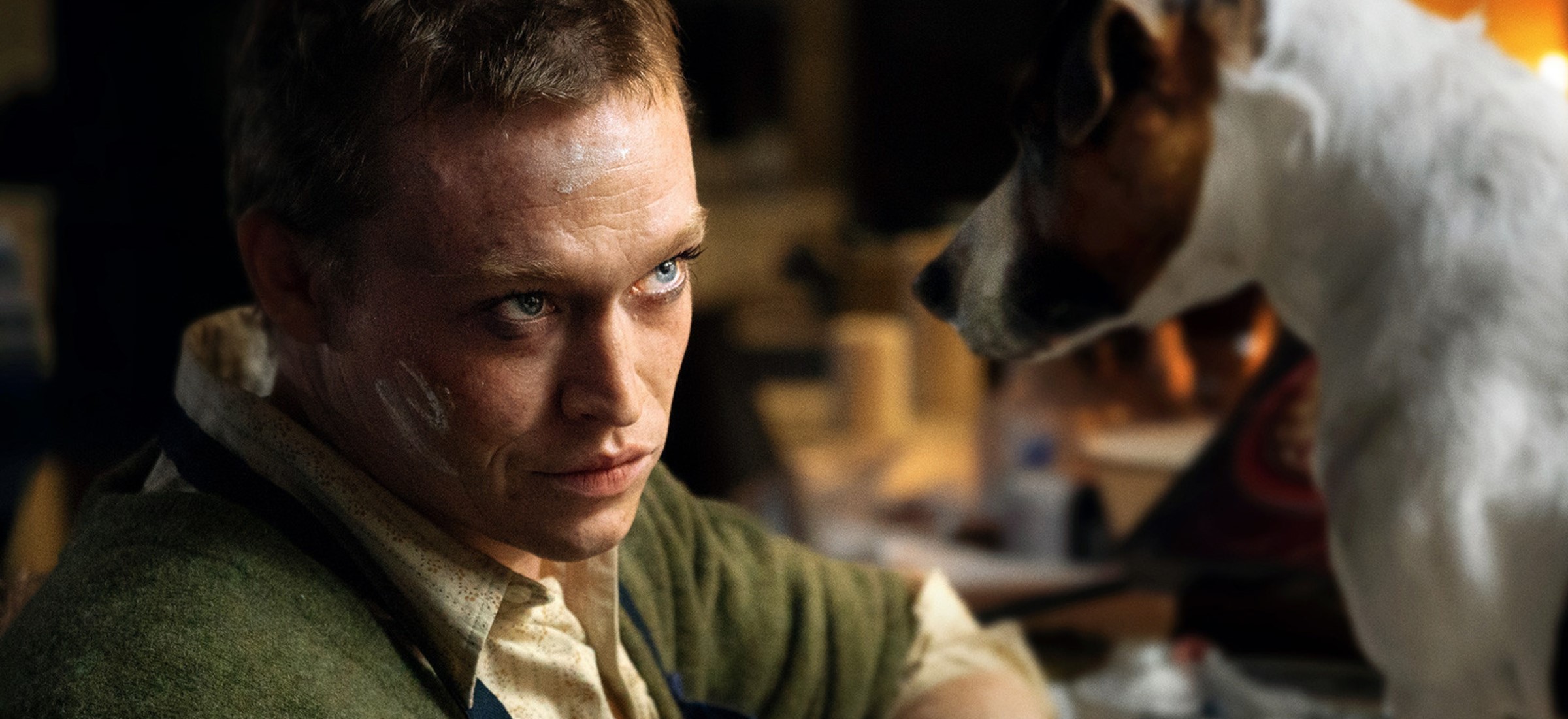 gdzie obejrzec film dogman online lista serwisow vod