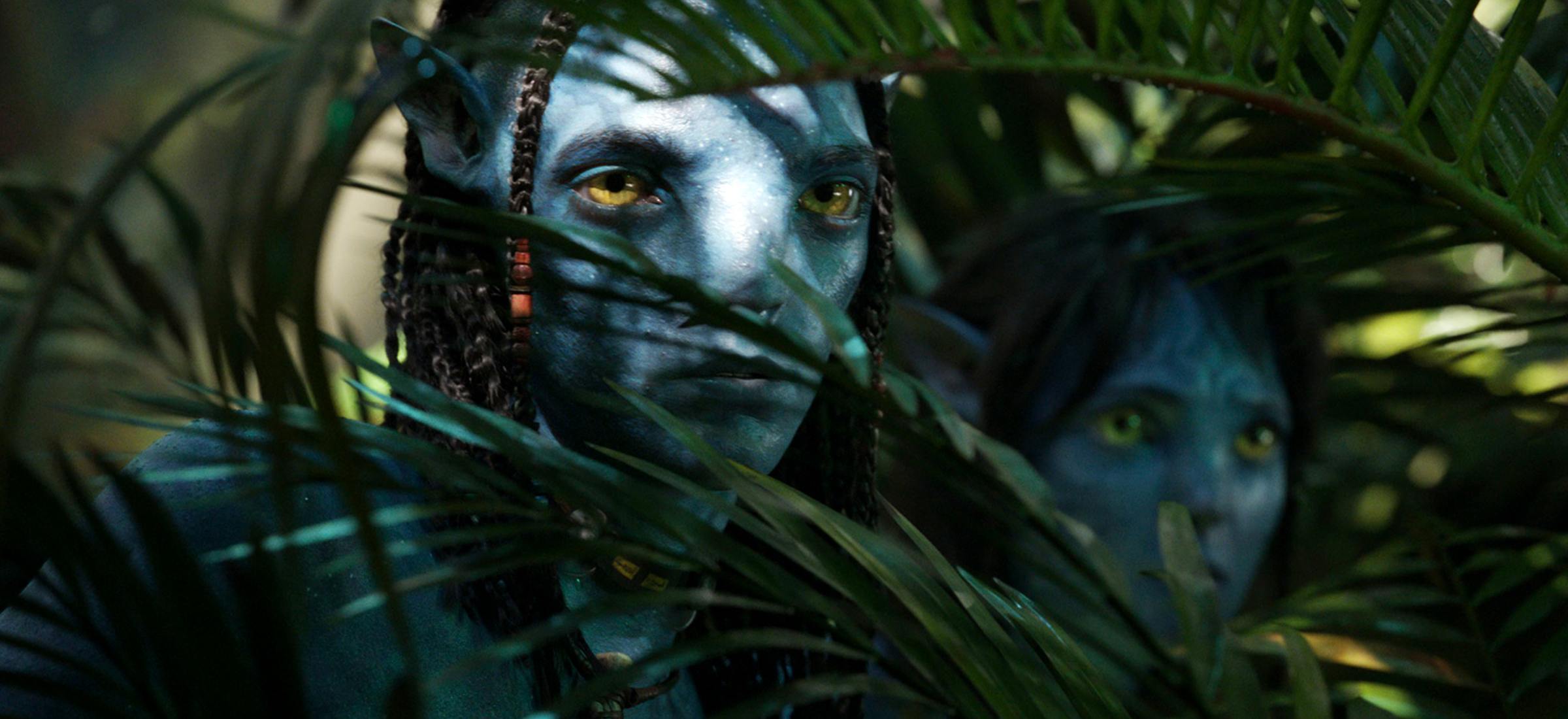 avatar 6 7 james cameron