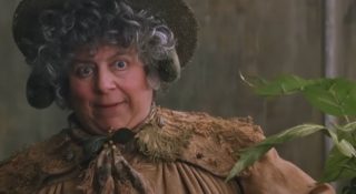 profesor sprout martwi sie o doroslych fanow harry potter