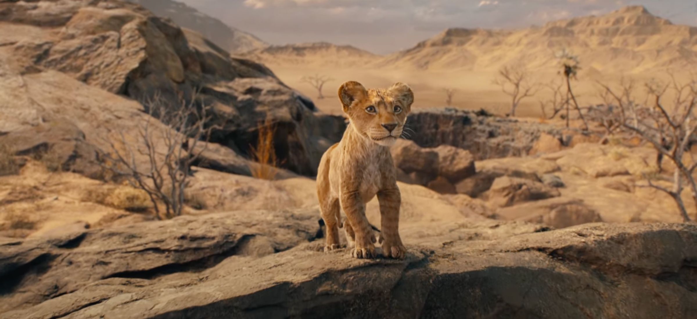 krol lew mufasa pierwszy zwiastun kiedy premiera