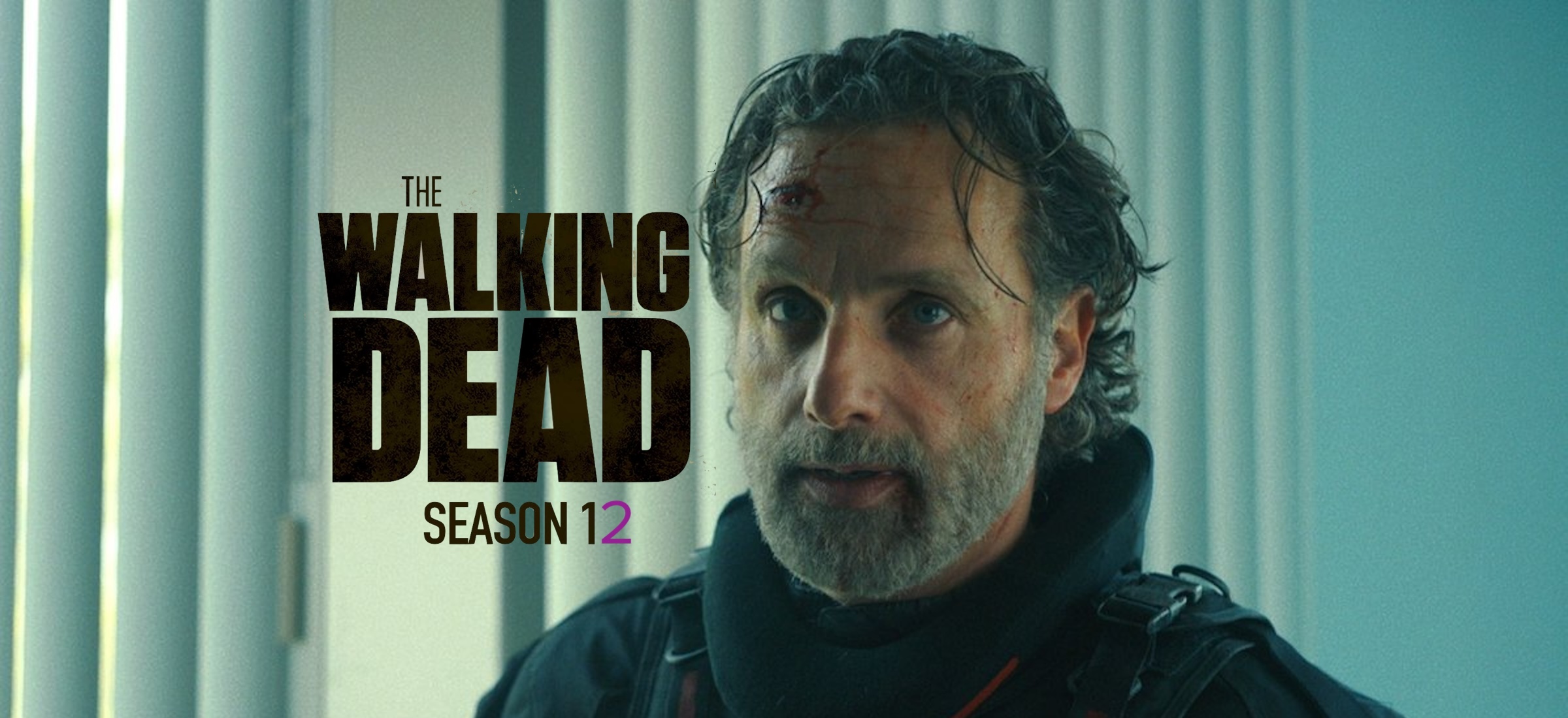 the walking dead season 12 the ones who live rick grimes