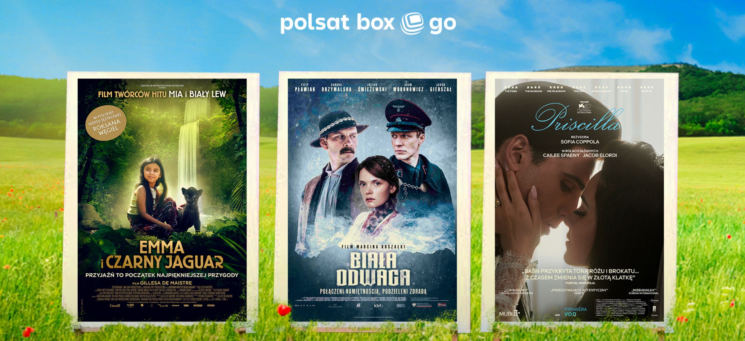 polsat box go nowosci priscilla biala odwaga