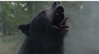 kokainowy miś gdzie obejrzeć film online amazon prime video