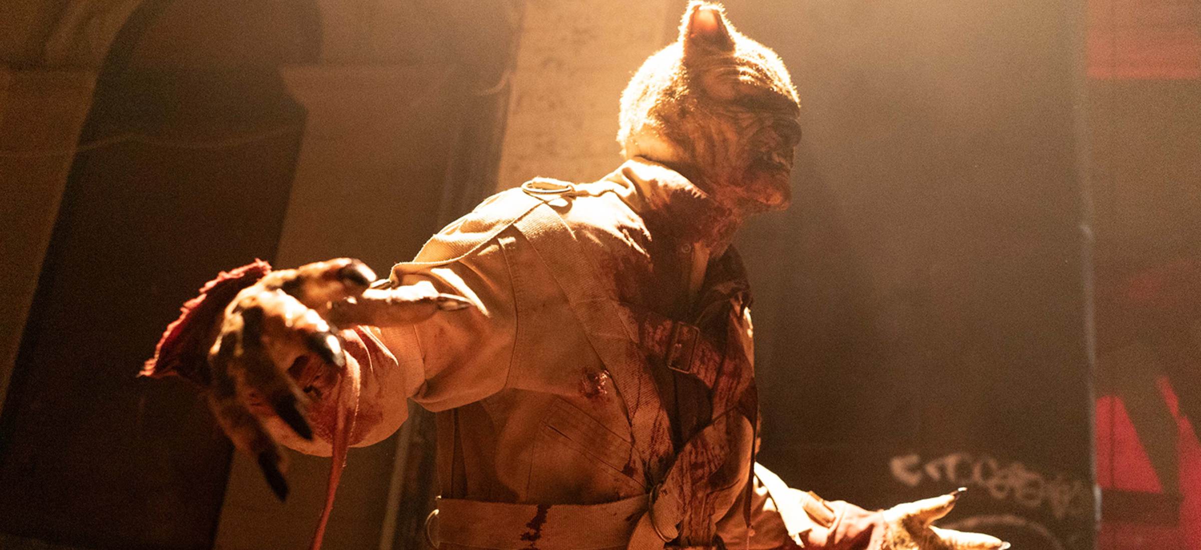 puchatek krew i miód 2 amazon prime video co obejrzeć