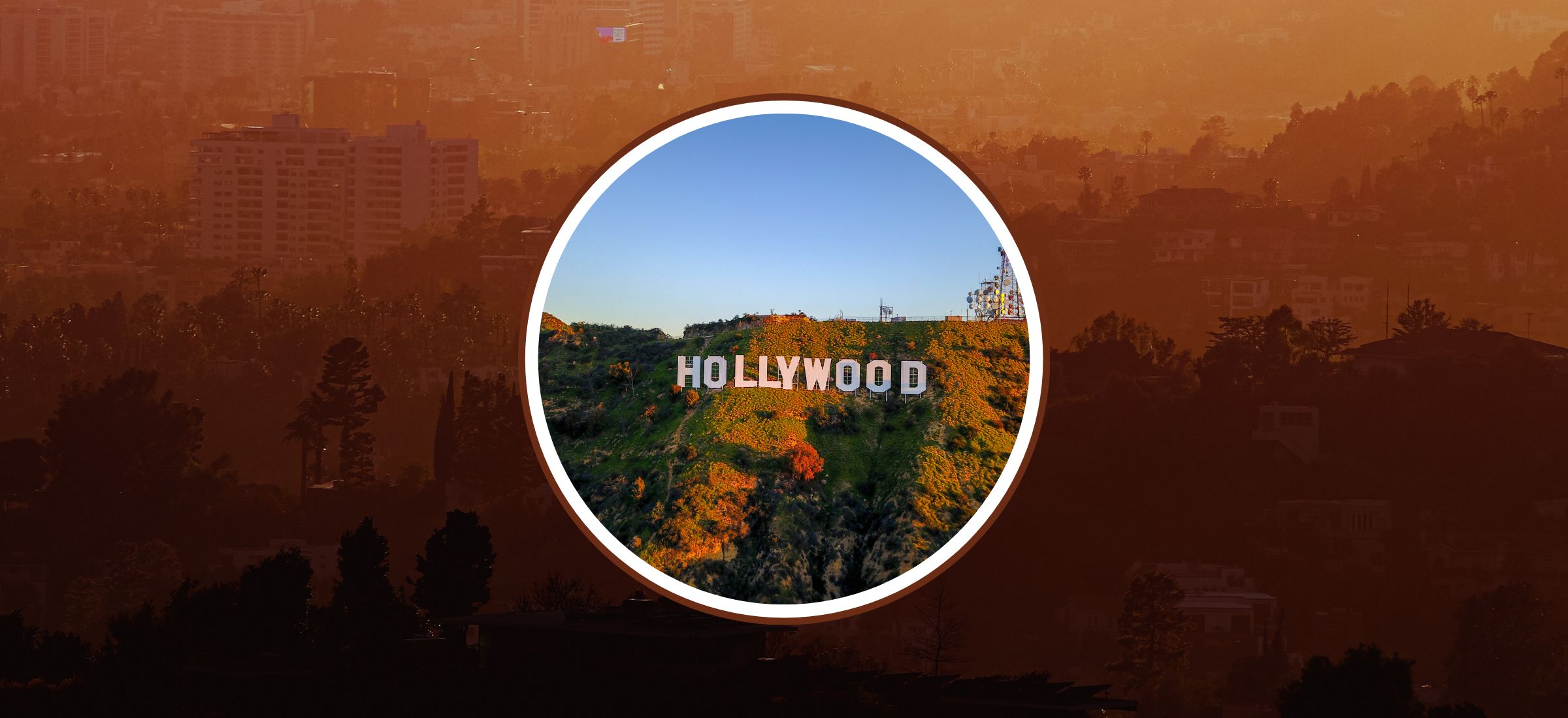 pozary w hollywood