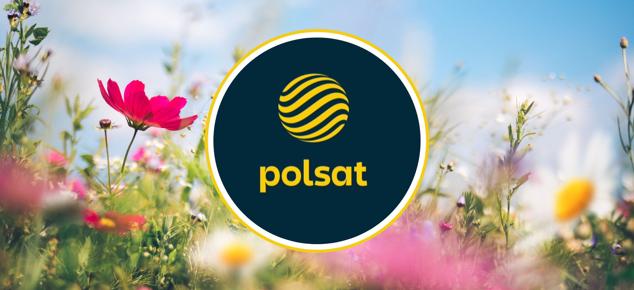 polsat ramowka wiosna 2025