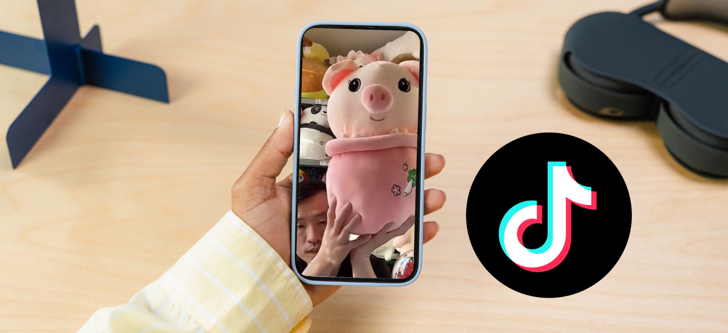 swinka w kubku tiktok viral
