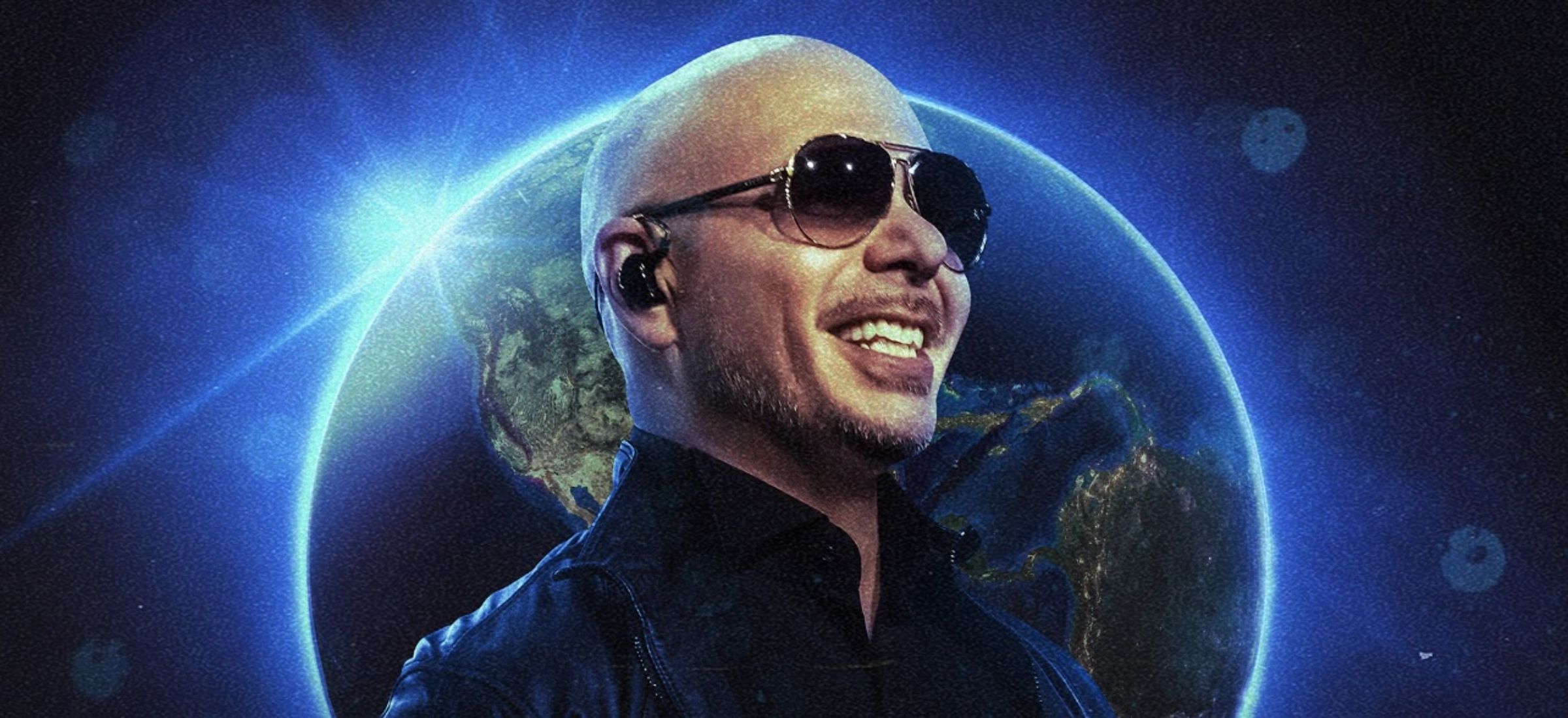 pitbull polska ceny 2025