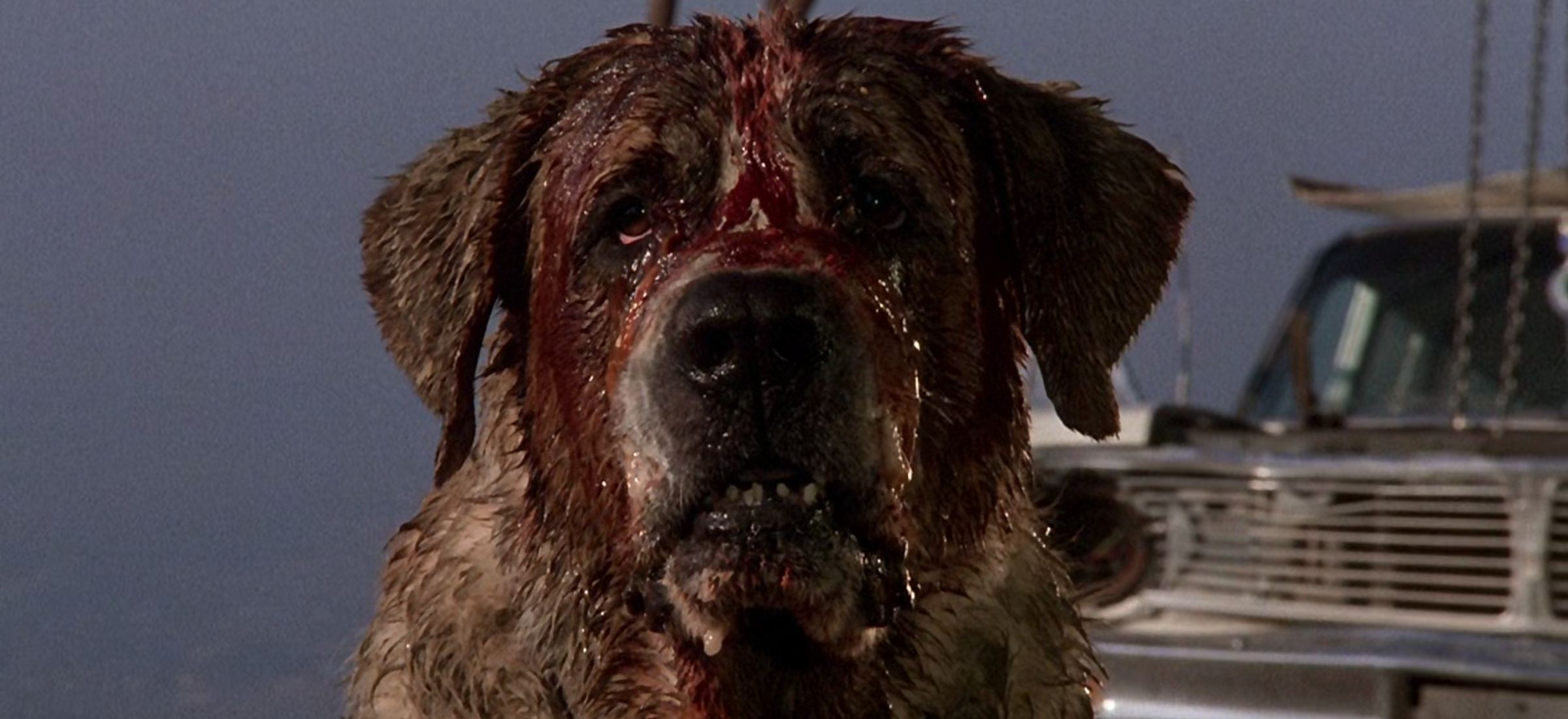 cujo horror stephen king netflix premiera