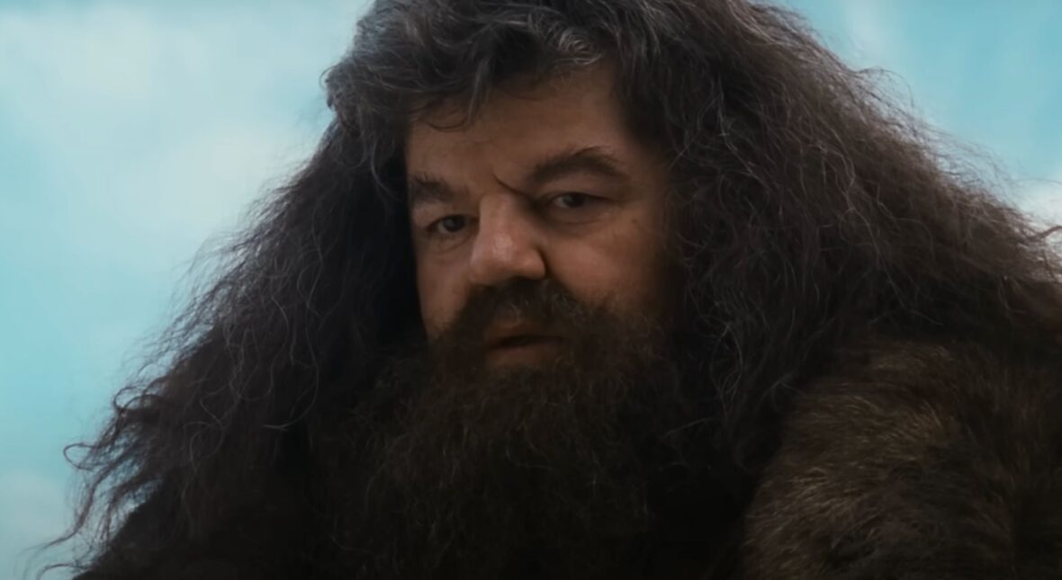 Image for To on ma zagrać Hagrida w serialu Harry Potter. Świetny wybór