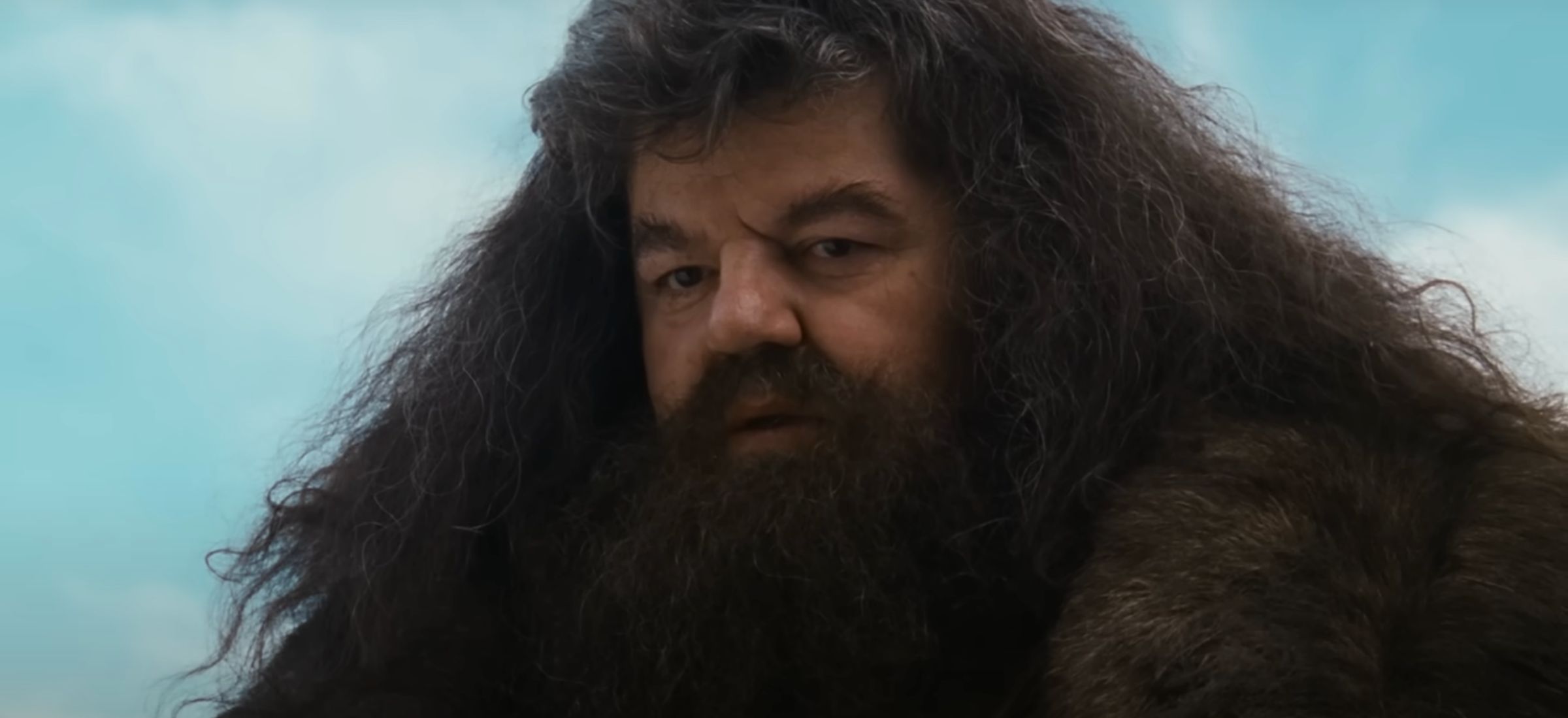 hagrid nick frost casting