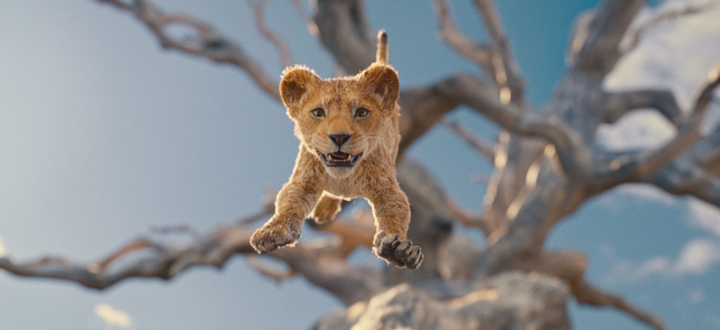 mufasa disney plus kiedy premiera gdzie obejrzeć