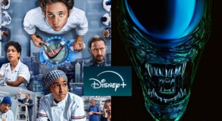 disney the bear obcy premiera seriale