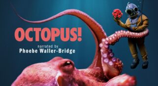 amazon prime video co obejrzeć octopus