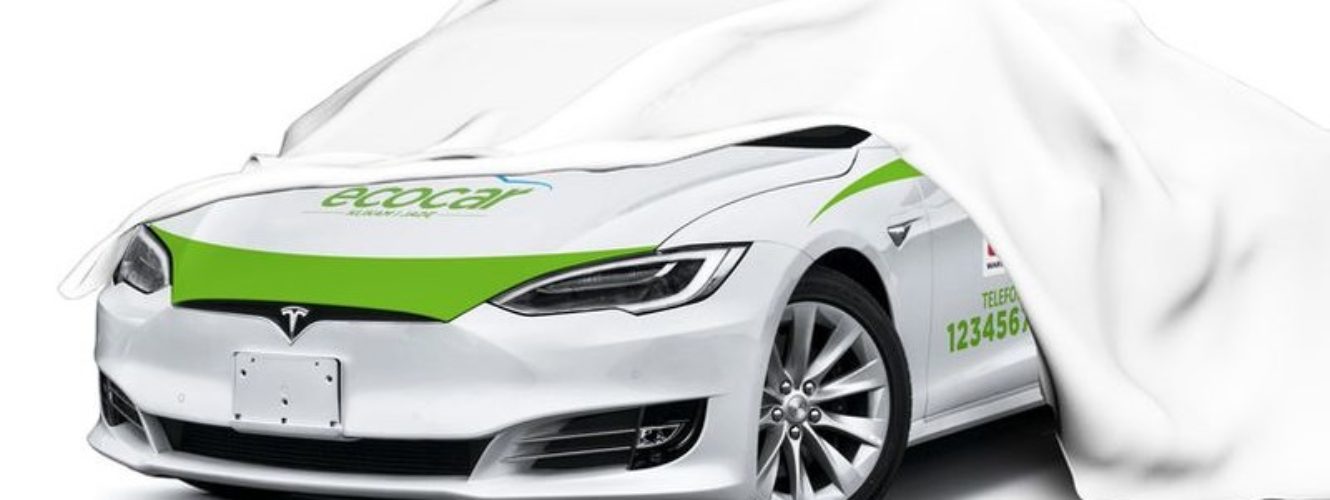 Firma EcoCar stawia na Tesle