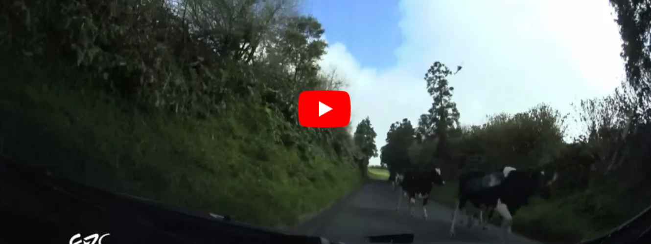 Azores Airlines Rallye 2018 – Przygoda z krowami Lukyanuka | Sete Cidades