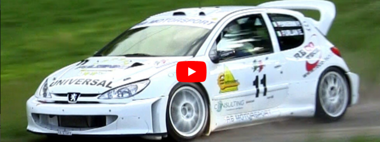 Peugeot 206 WRC Tribute – Sound & Loud Anti-Lag