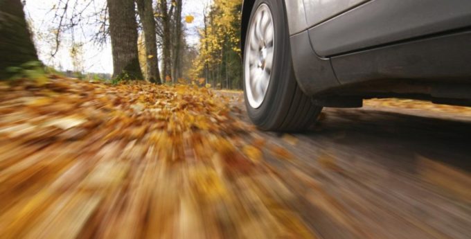 Jesienne liście – realne zagrożenie na drodze