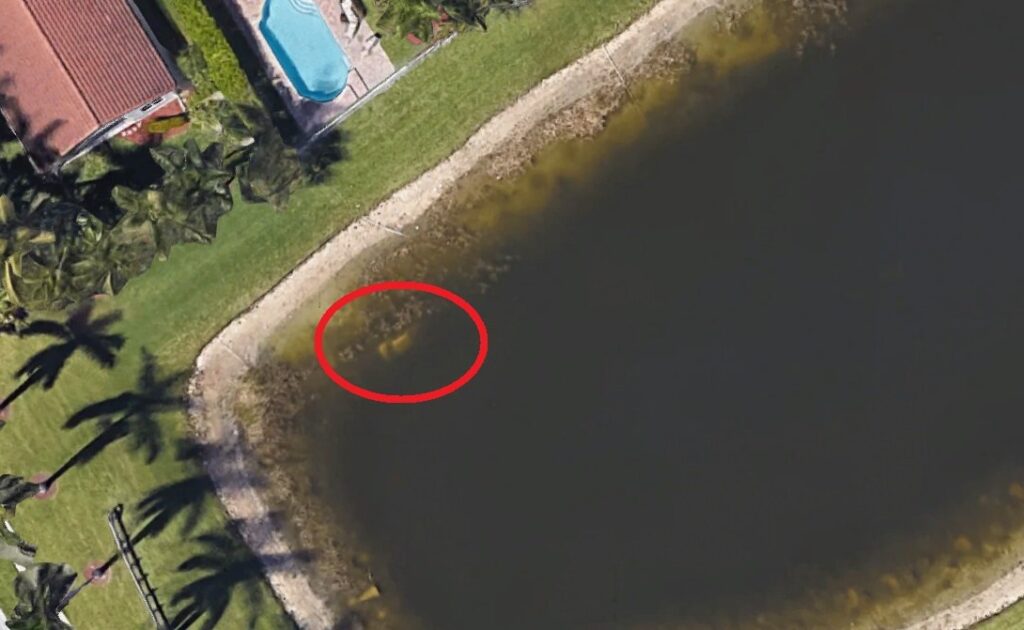 Rozwiązał Zagadkę Zadawana Przez Sfinksa Znalazł na Google Maps zatopiony samochód. Rozwiązał zagadkę sprzed 20 lat