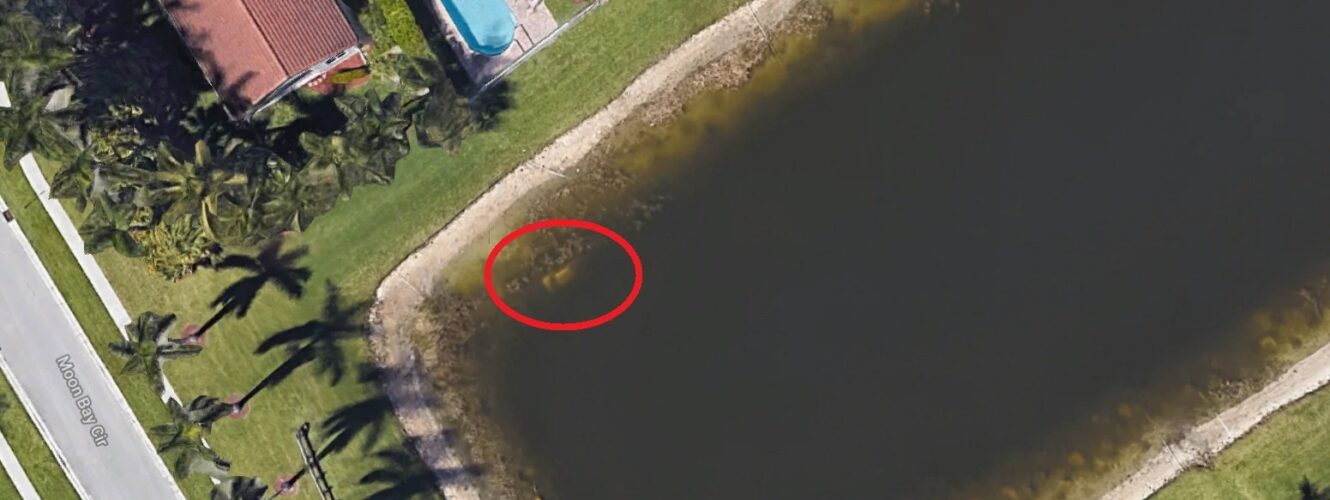 Rozwiązał Zagadkę Zadawana Przez Sfinksa Znalazł na Google Maps zatopiony samochód. Rozwiązał zagadkę sprzed 20 lat