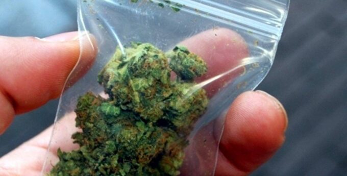 Marihuana warta fortunę znaleziona w dostawczaku. Kupiłbyś za nią Lamborghini i willę