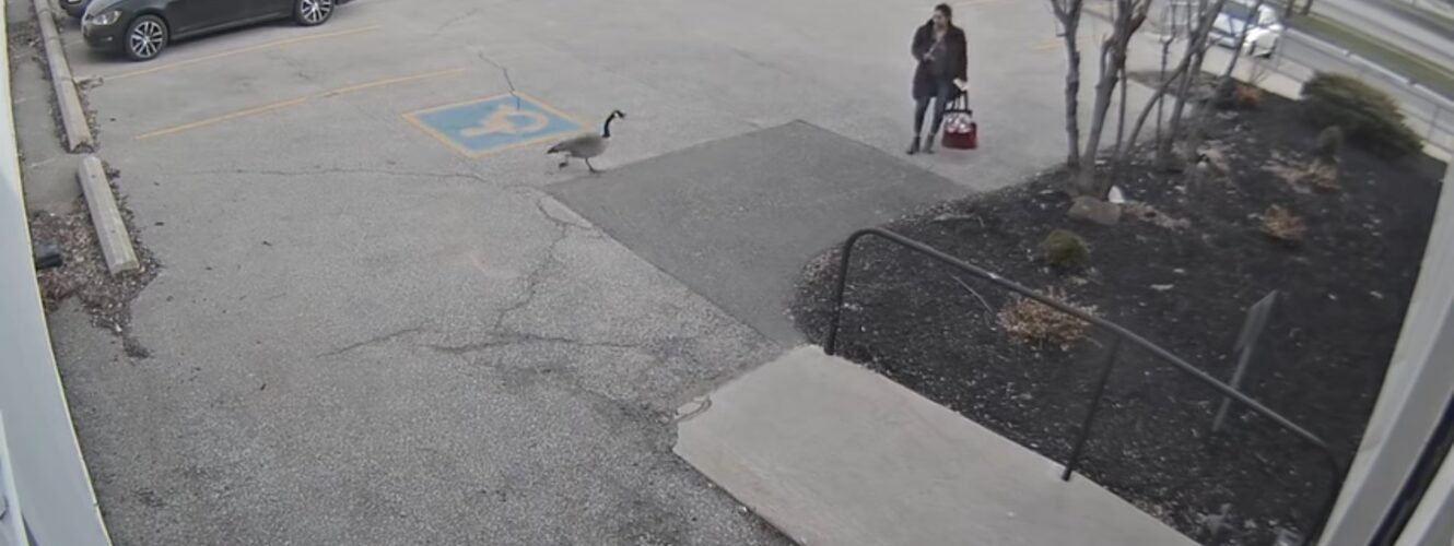 kobieta kierowca parking