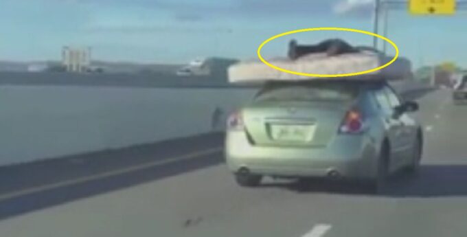 Amerykańska autostrada i dzban na dachu trzyma materac
