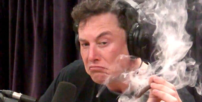 Elon Musk zaprasza na parapetówkę