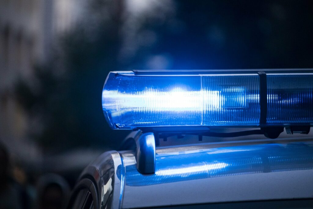 nie mają węgla wycinają drzewa policja