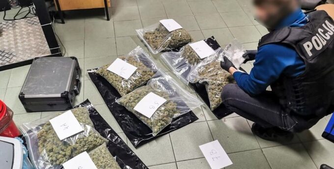7 kilogramów dragów to był początek. Ten kierowca miał przewozić „tylko” nielegalnych imigrantów