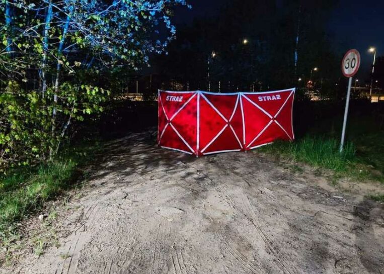 Uczył partnerkę jeździć autem, ale coś poszło nie tak. Była kompletnie pijana i przez przypadek go zabiła