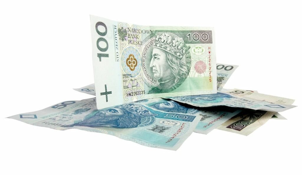 mandat policja światła tablice rejestracyjne rejestracje