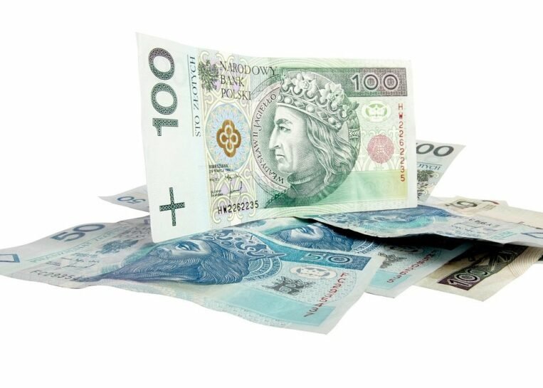 oszczędność oszczędności pieniądze karta dużej rodziny