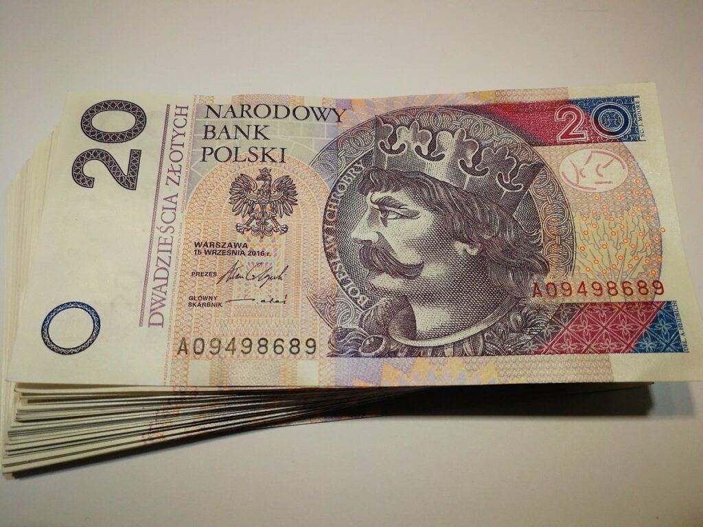 pieniądze dodatek rząd program plus