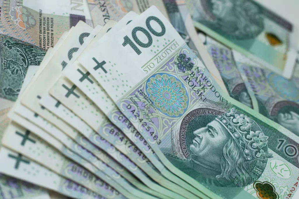 Nowe świadczenie wspierające zatwierdzone