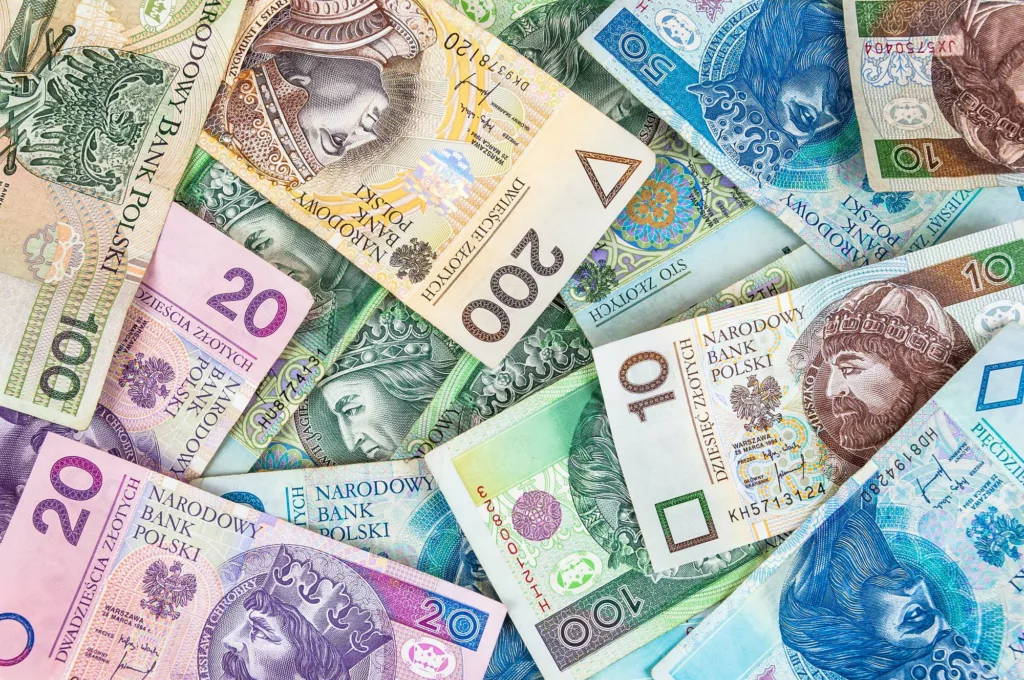 dodatek pieniądze świadczenie rząd grant kobiety dla kobiet