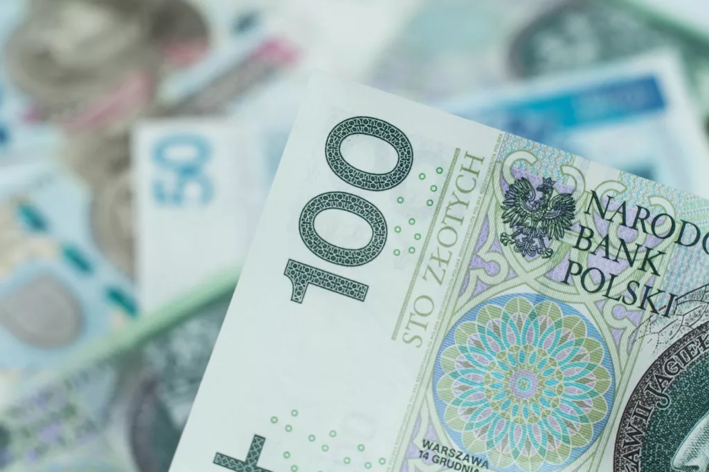dodatek pieniądze świadczenie rząd grant kobiety dla kobiet