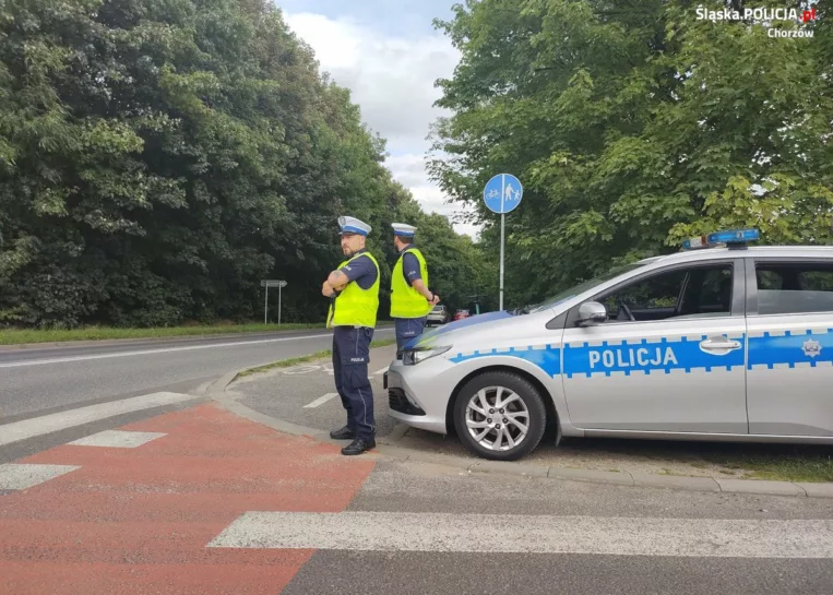 kierowca mandat punkty