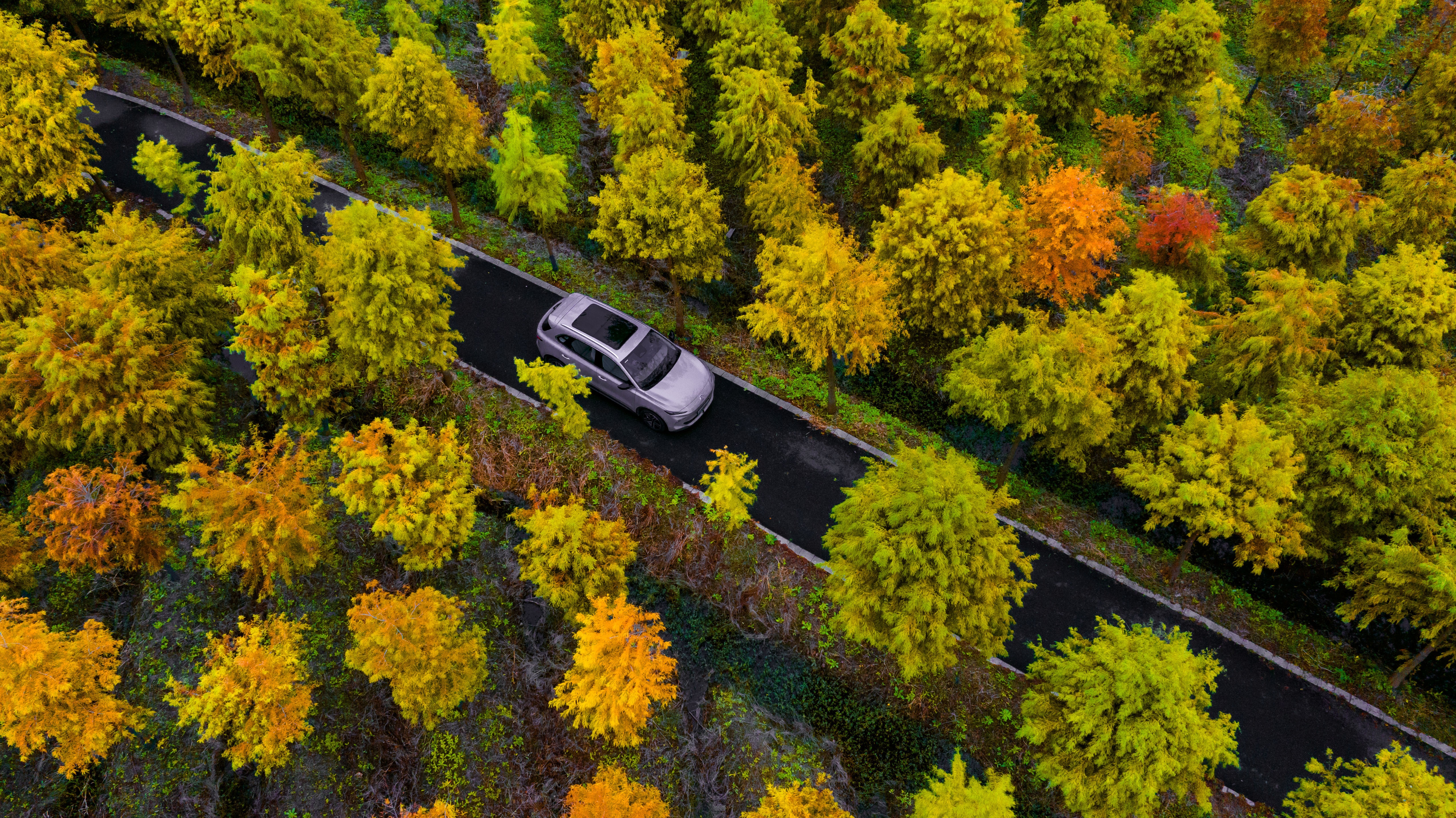 Omoda nie daje spać MG, więc wytacza ciężkie działa. Ulepszony i bogato wyposażony SUV kładzie na stół rabat