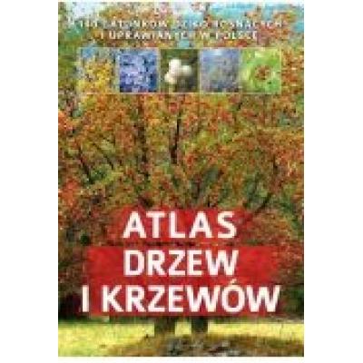Atlas drzew i krzewów sbm