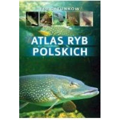 Atlas ryb polskich. 140 gatunków