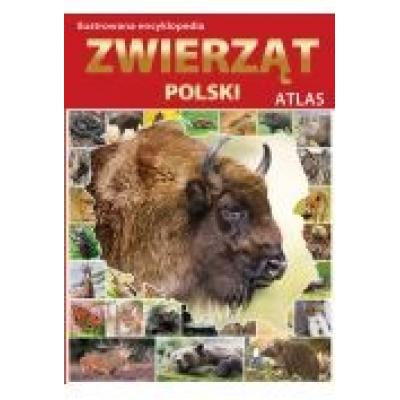 Atlas. ilustrowana encyklopedia zwierząt polski