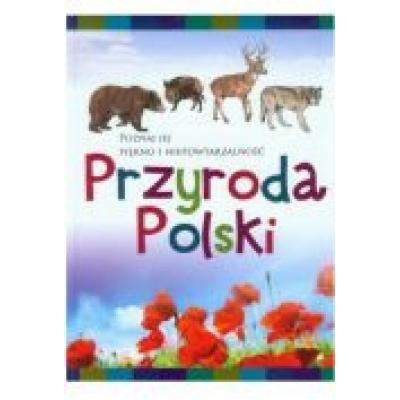 Przyroda polski poznaj jej piękno i niepowtarzalność