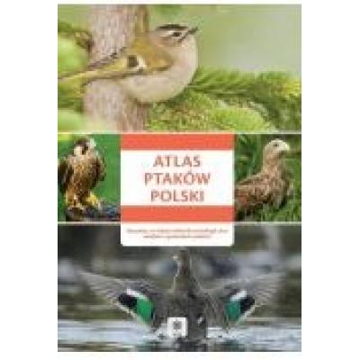 Atlas ptaków polski