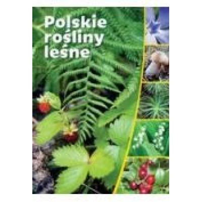 Polskie rośliny leśne