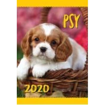 Kalendarz ścienny 2020 psy