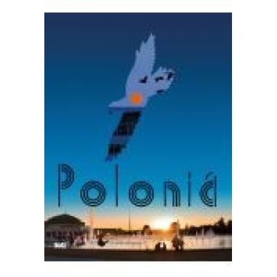 Polska wer. włoska polonia bosz