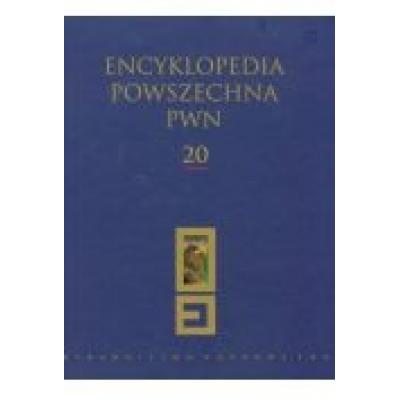 Encyklopedia powszechna pwn tom 20