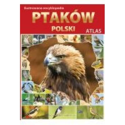 Atlas. ilustrowana encyklopedia ptaków polski