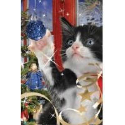 Mini kartka 3d świąteczny kot